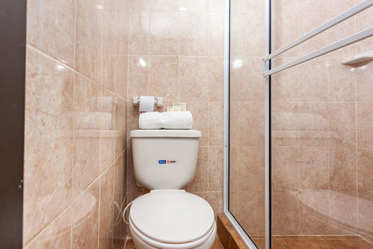 Bathroom 3, Ayenda Agustin Plaza, San Juan de Pasto