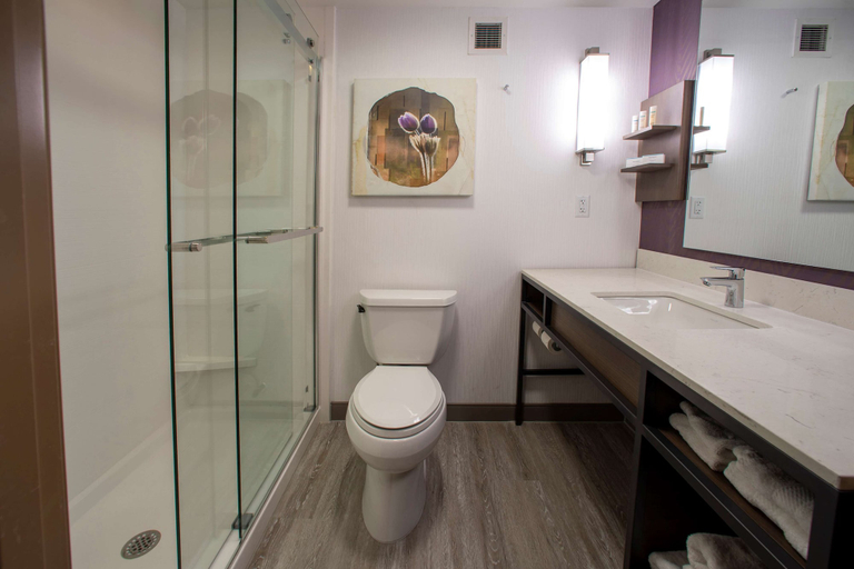 Bathroom 4, Hilton Garden Inn Rapid City, Pennington