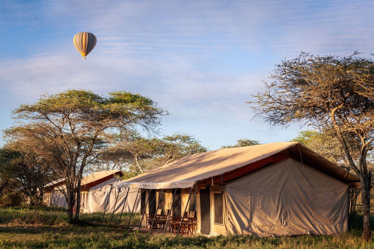 Exterior & Views, Gnu Ndutu Camp, Ngorongoro