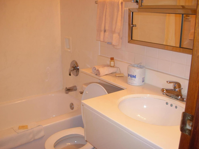 Bathroom 4, Red Carpet Motel, Marion