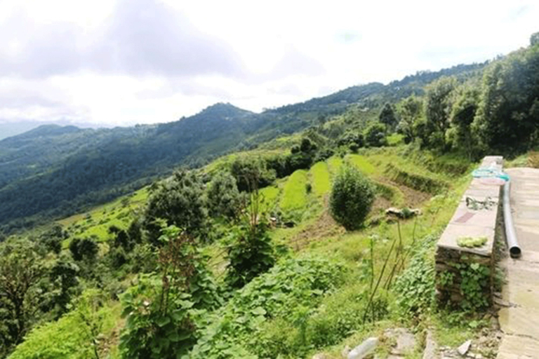 Others 4, Dhampus Village Eco Lodge, Gandaki