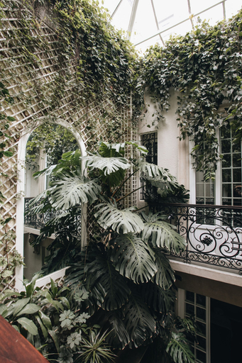 Exterior & Views 2, Nima Local House Hotel & Spa, Mexico City