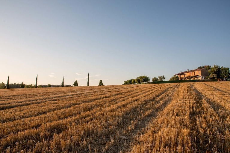 Others 4, Agriturismo Il Tiro, Perugia