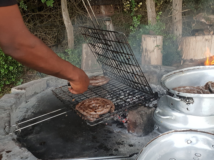 Food & Drinks 13