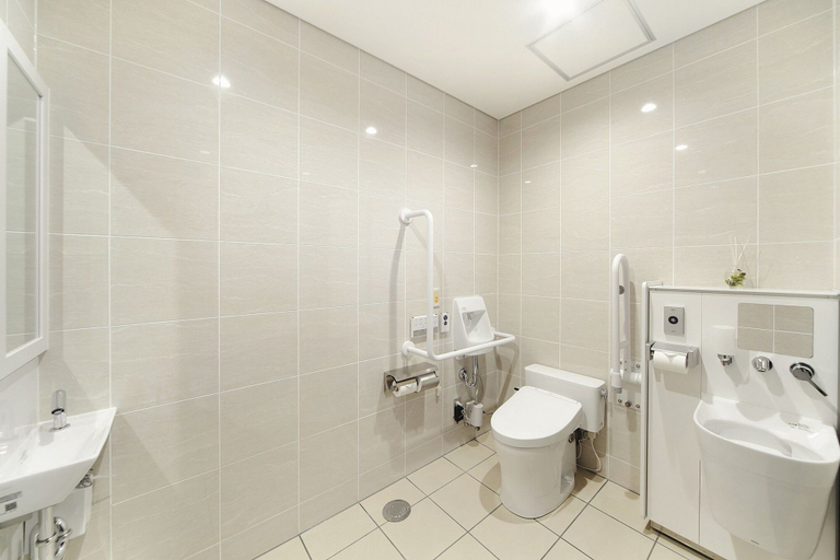 Bathroom 5, Toho Hotel MOTOMACHI, Osaka