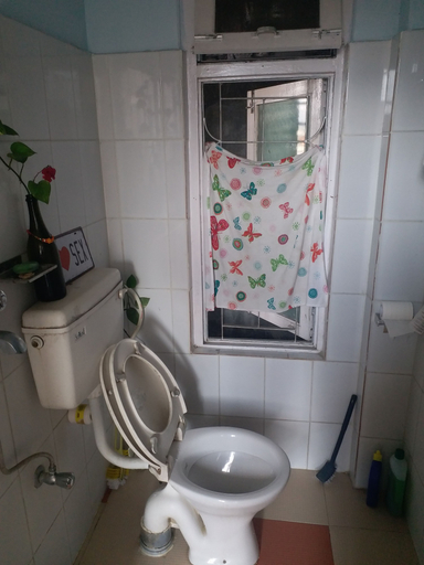 Bathroom 3, Apartment with mountain and lake view, Gandaki