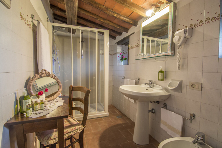 Bathroom 5, Hotel Colle Etrusco Salivolpi, Siena