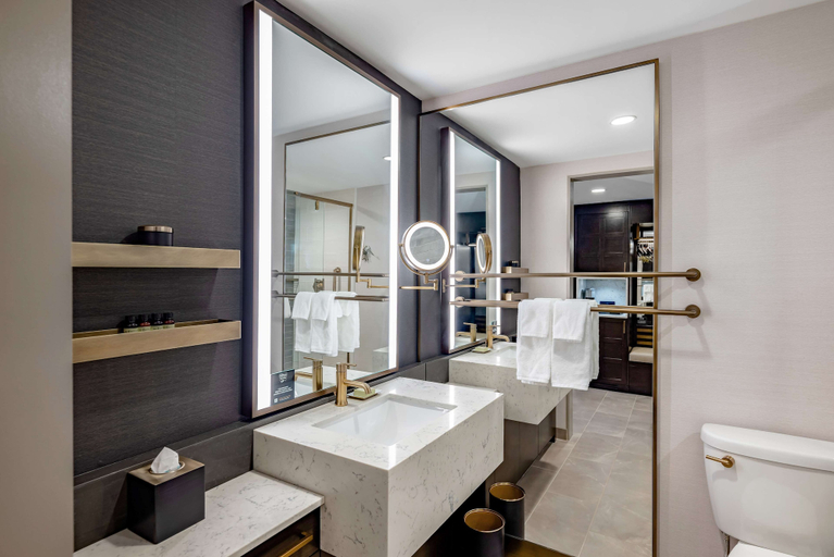 Bathroom 4, Hotel Fort Des Moines, Curio Collection by Hilton, Polk