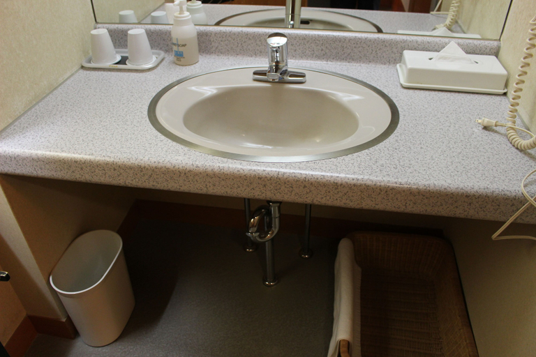Bathroom 5, Matsuriya Yuzaemon, Fukushima