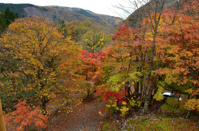Others 5, Resort Pension Shikisai, Gujō