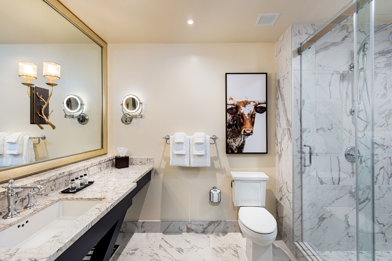 Bathroom 4, Brownwood Hotel & Spa, Sumter