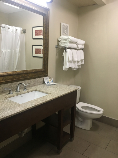 Bathroom 4, Comfort Inn Lexington I-75, Fayette
