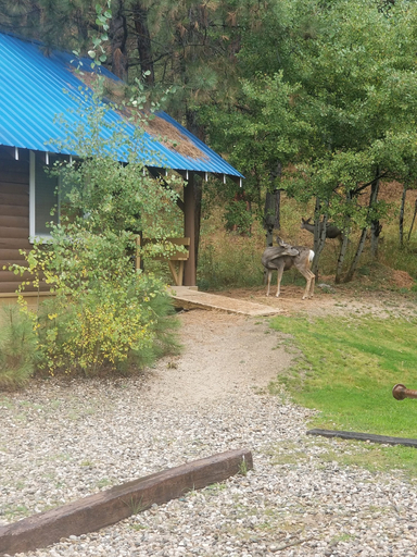 Others 5, Sourdough Lodge, Boise