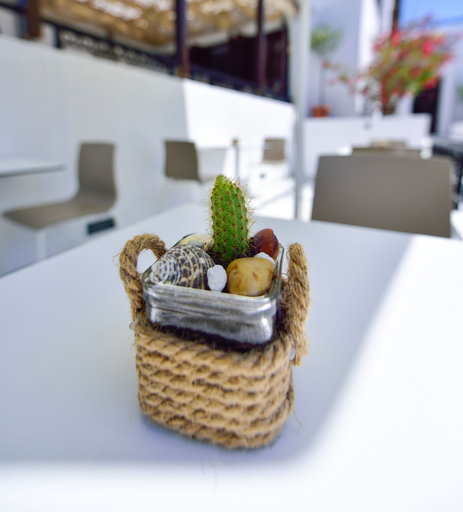Food & Drinks 5, Kalidon Beach Hotel, North Aegean