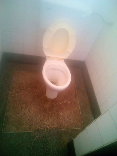 Bathroom 4, Marina Guest House, Ruiru