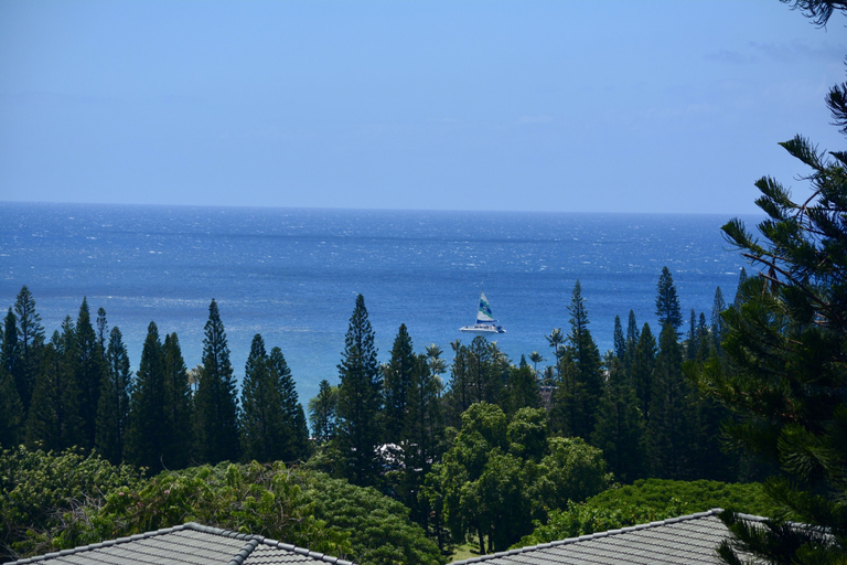 Exterior & Views, Kapalua Golf Villa 25v2 Gold Ocean View, Maui