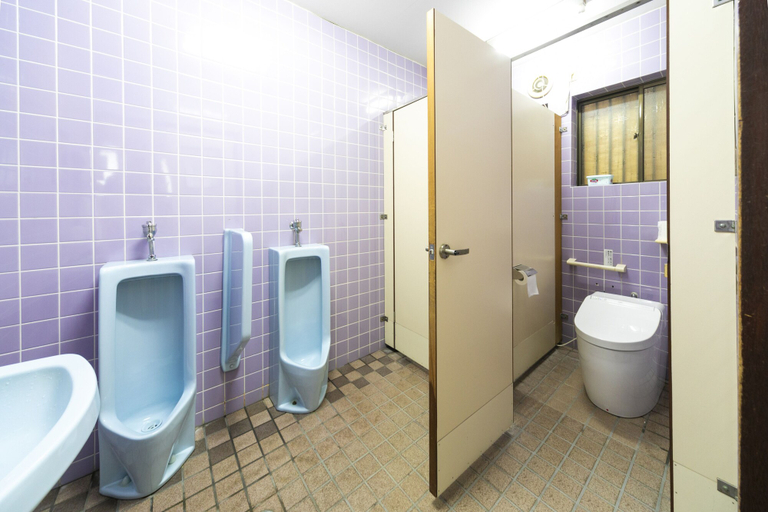 Bathroom 2, Yoshikou, Takahama