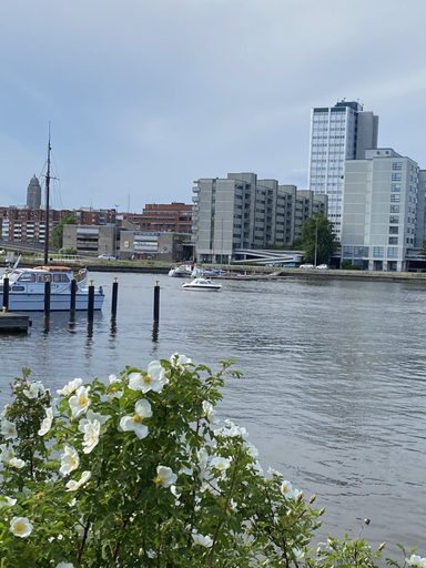 Others 5, InnTourist Hostel, Uusimaa