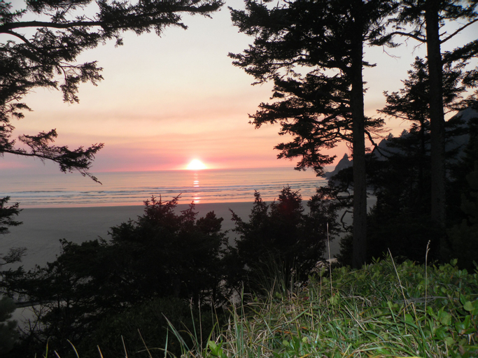 Tyee Lodge Oceanfront B&B, Lincoln