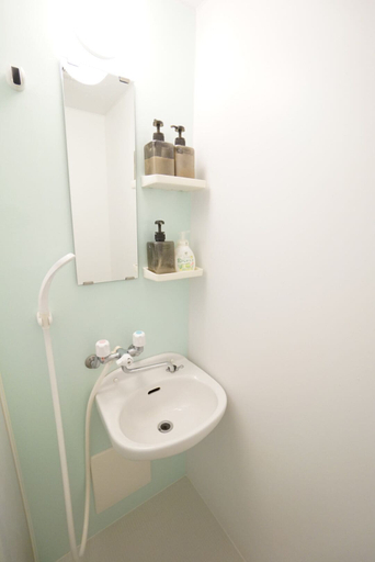 Bathroom 3, Terry's Apartment Namba South V C01B, Osaka
