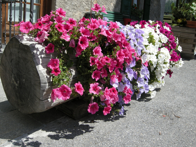 Others 5, Hotel Ristorante Federia, Sondrio