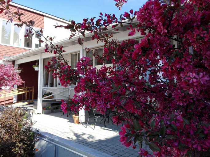 Exterior & Views 2, Kristinebergs Bed & Breakfast Mora, Mora