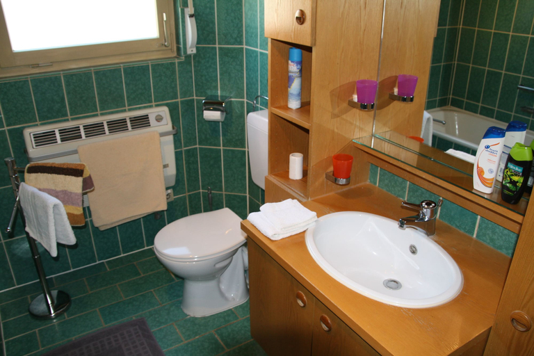 Bathroom, Gästezimmer Lußhardthof, Rhein-Neckar-Kreis