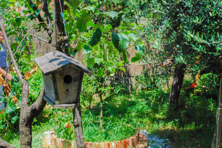 Others 4, Apartments Tea Kotor