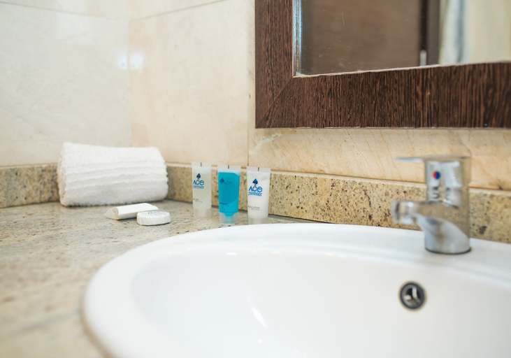 Bathroom 4, Ace Premier Hotel, AbujaMun