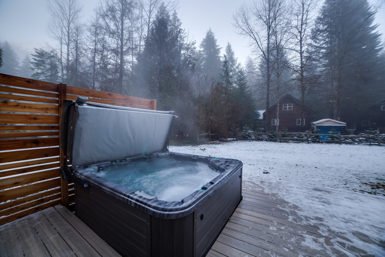 Bathroom 4, 62SL - Hot Tub - WiFi - Fireplace - Pets Ok - Sleeps 6, Whatcom