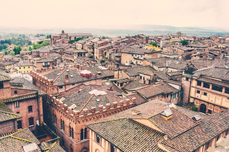 Others 5, Rinidia Siena Celso Cittadini Grande, Siena