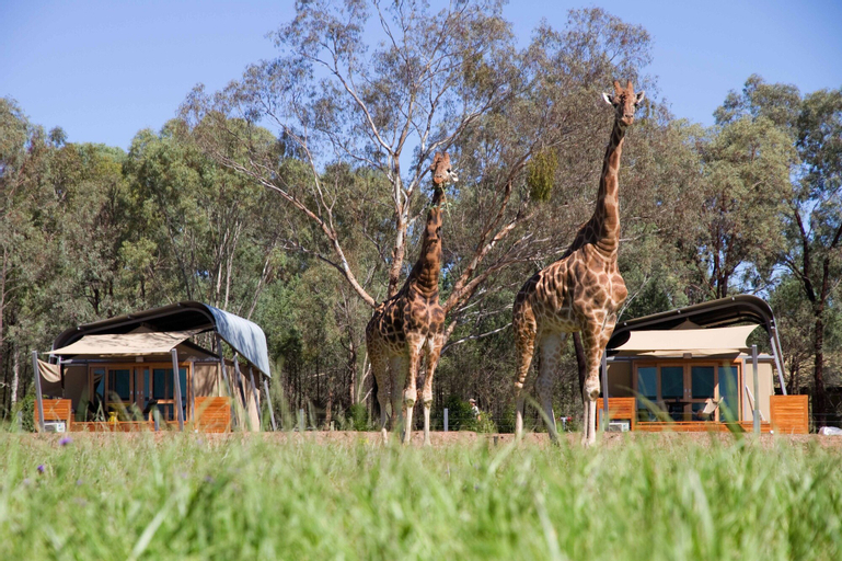 Zoofari Lodge at Taronga Western Plains, Dubbo - Pt A
