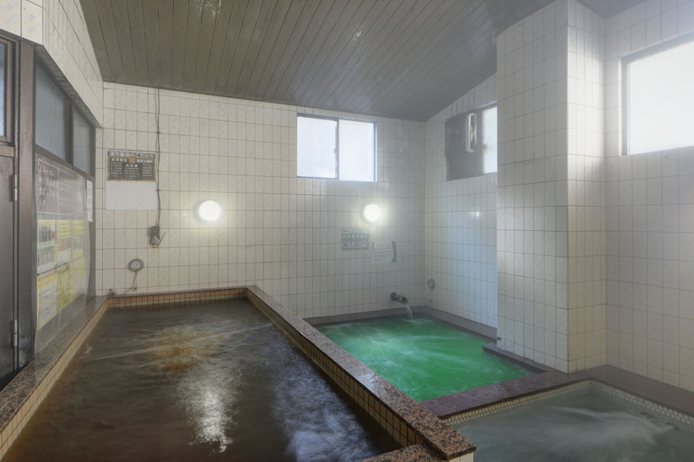Sport & Beauty 5, Hotel Star Land, Tsuru