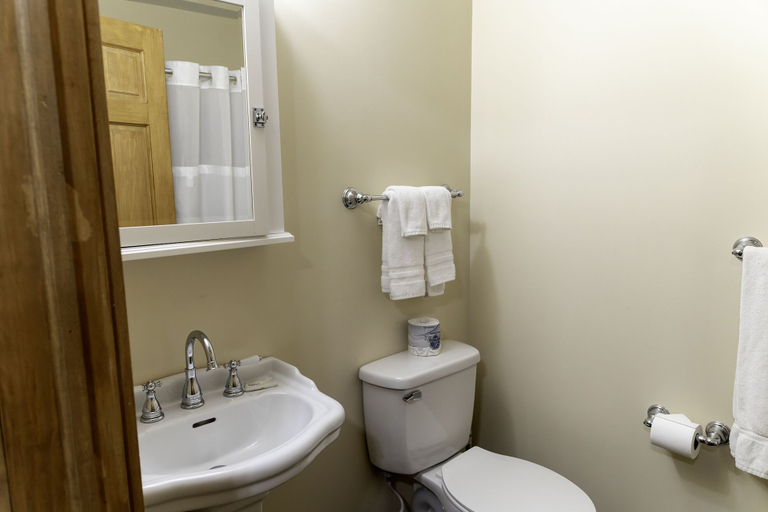 Bathroom 4, The Woods Inn, Hamilton