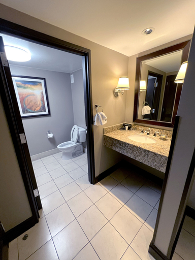 Bathroom 5, Ameristar Casino Hotel Vicksburg, Warren