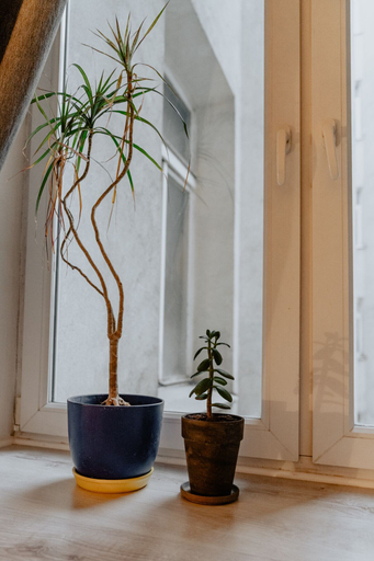 Others 5, Warsaw Concierge Loft Chmielna, Warsaw