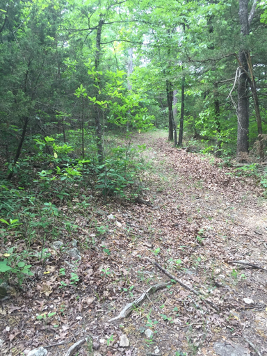 Others 5, Cherokee mountain log cabin resort, Carroll