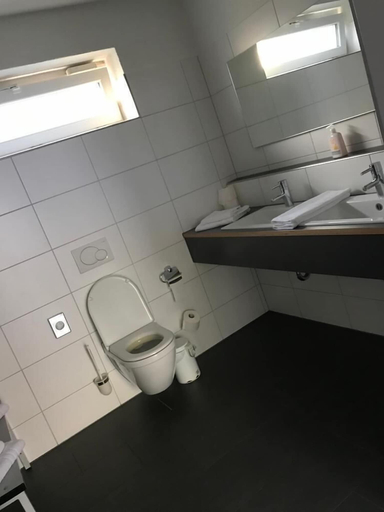 Bathroom 5, Arena Hotel Waldshut, Waldshut