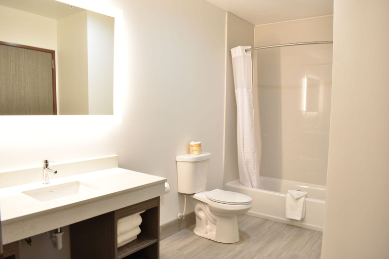 Bathroom 4, Zion Canyon Lodge, Washington
