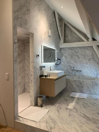 Bathroom 5, B&B Elzartwinning, Limburg