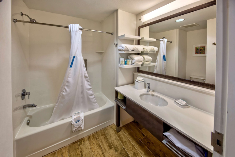 Bathroom 5, Hampton Inn Winter Haven, Polk