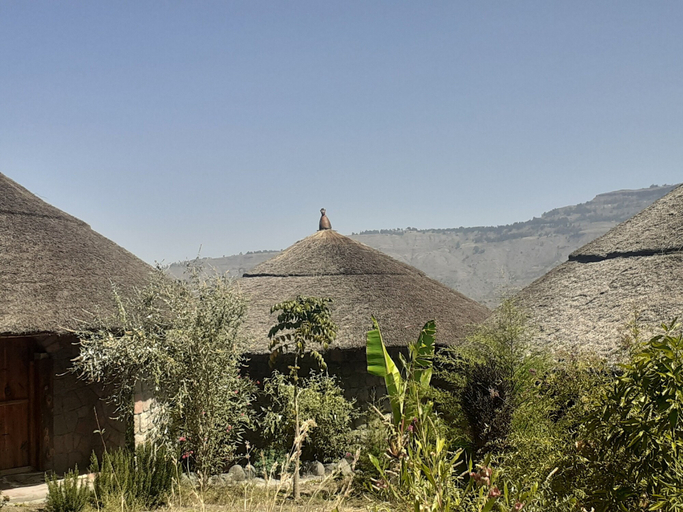 Exterior & Views 2, Bethan Amba ecovillage, Semen Wello