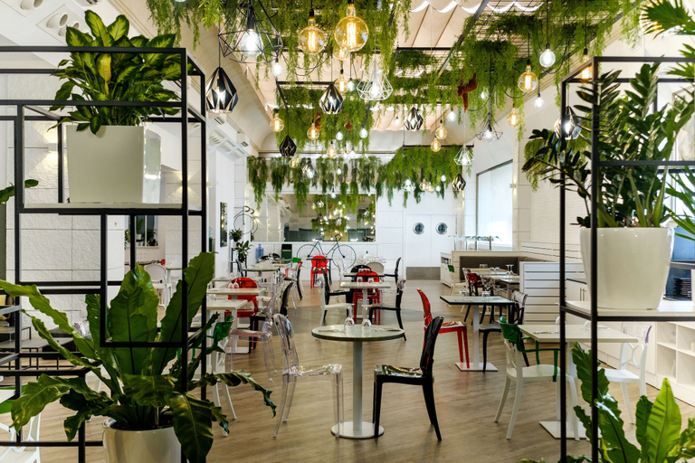 Food & Drinks 5, Hotel Clement Barajas, Madrid