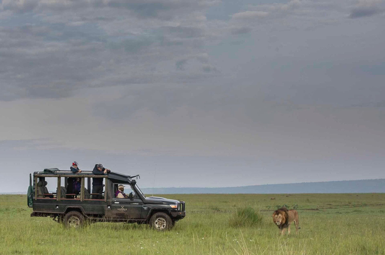 Others 4, Kicheche Mara Camp, Narok West