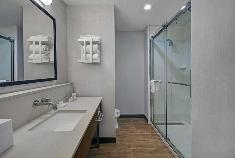 Bathroom 4, Hampton Inn Midland South, Midland
