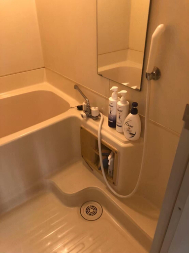Bathroom 3, Heights Showa 703, Sapporo