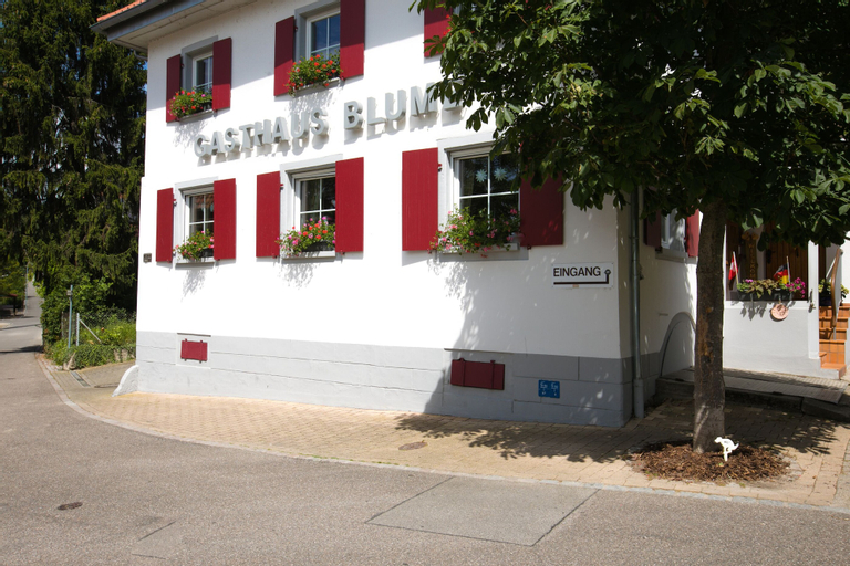 Gasthaus zur Blume, Lörrach