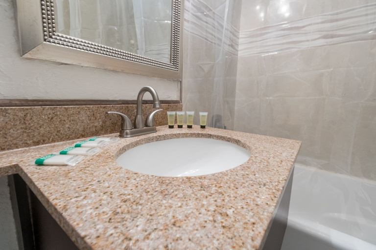Bathroom 3, 217 Hollywood Beach Resort, Broward