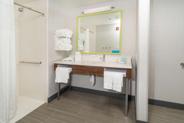 Bathroom 4, Hampton Inn & Suites Conway, Faulkner
