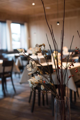 Food & Drinks 4, Hotel Johann, Bregenz